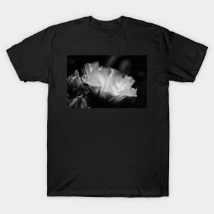 Unspoken T-Shirt